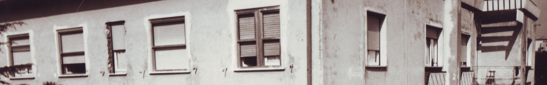 Storia della Salus