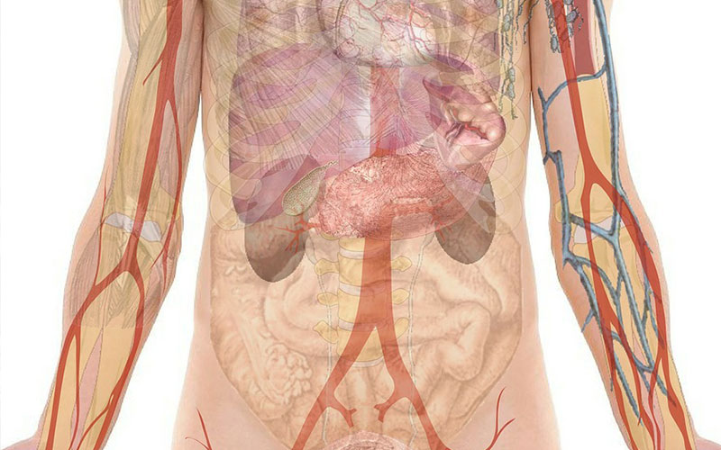 Check Up urologico