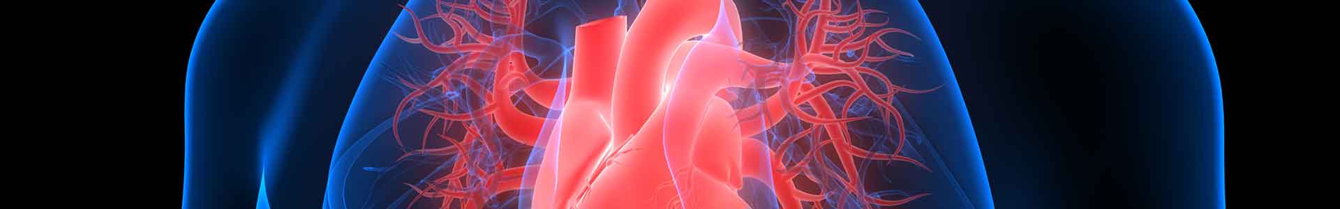 Cardiologo a Viterbo - Salus Diagnostica